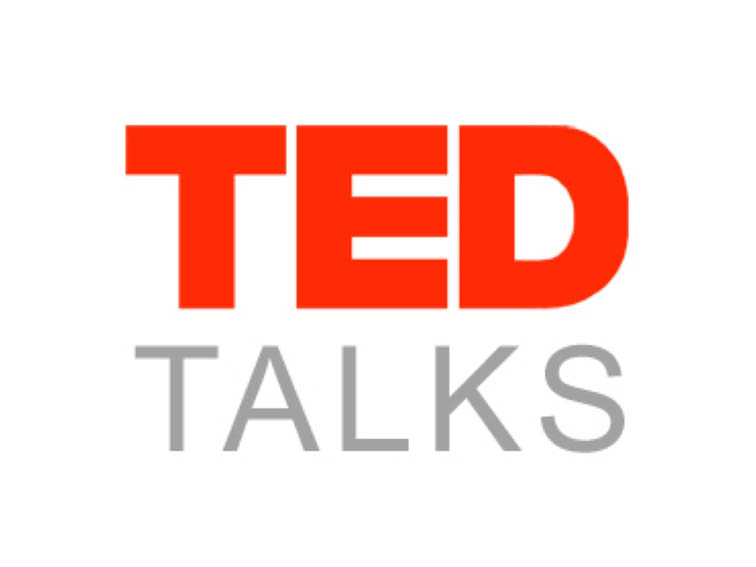 ted talk shoelaces