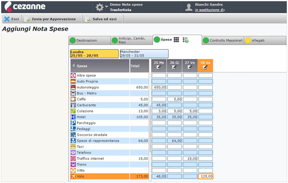 Expenses form from Cezanne HR software