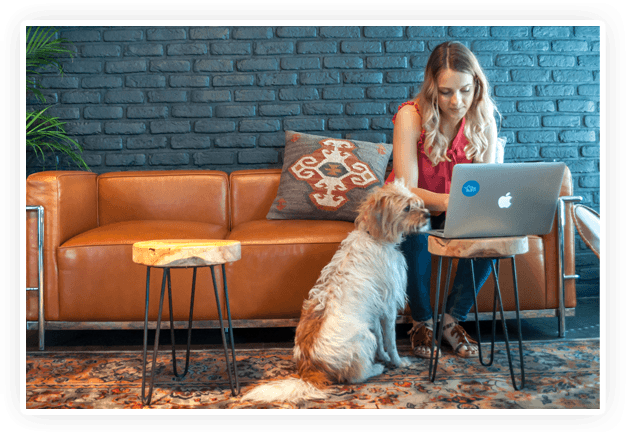 undabot woman laptop dog