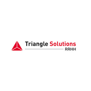 TRIANGLE SOLUTIONS logo