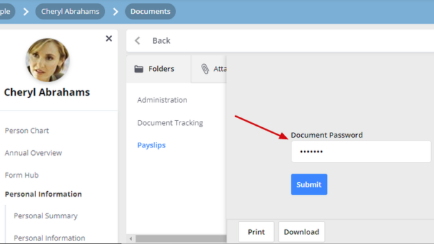 Cezanne HR April System Release bring further user enhancements