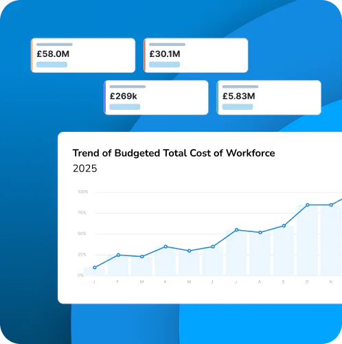 What is Cezanne Analytics Insights